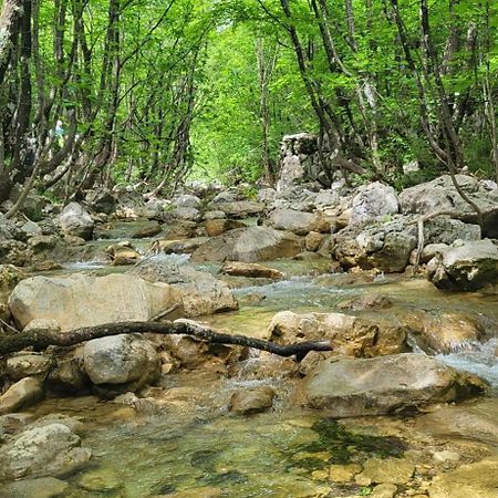 Apartmani Centar Seline Paklenica Esterno foto